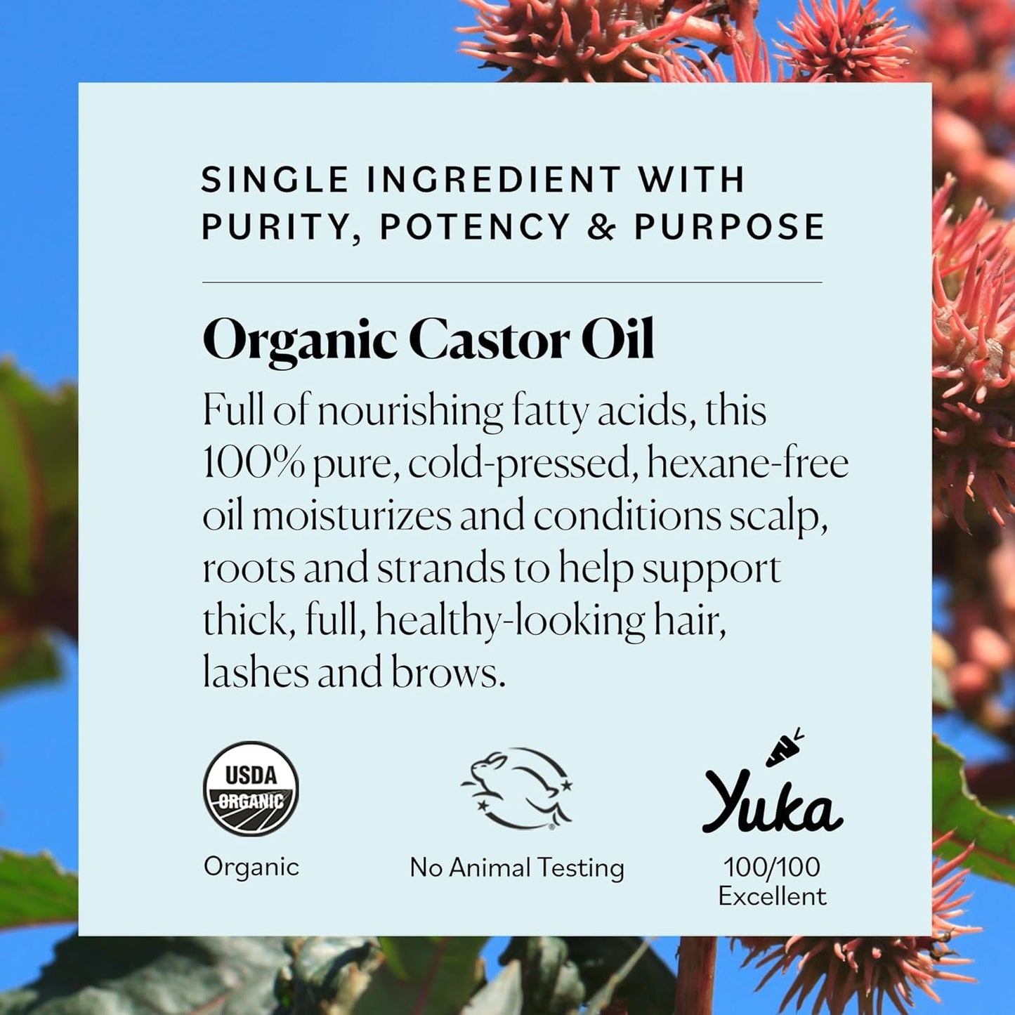Elixir™Organic Castor Oil